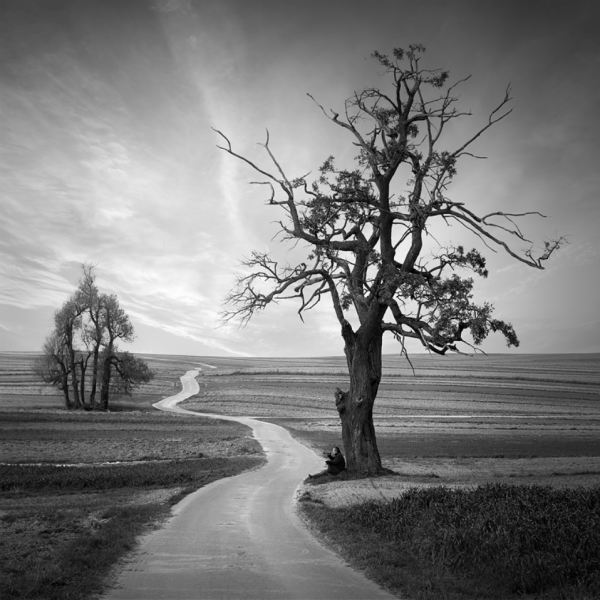 Пейзажи для гравировки на памятниках