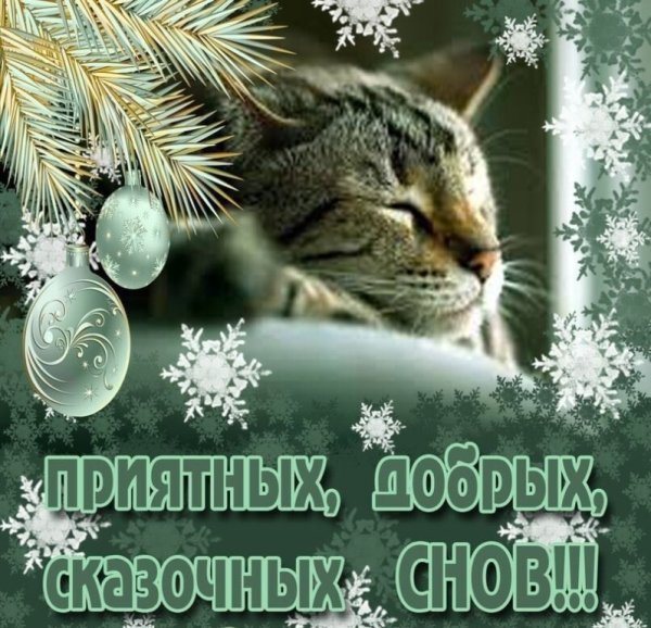 Спокойной ночи зимой