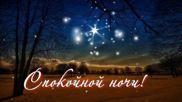 Прекрасных зимних снов