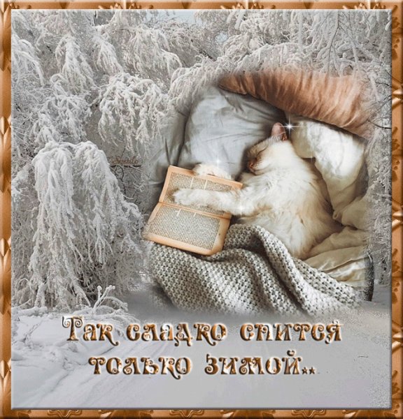 Спокойной ночи зимней мерцающие