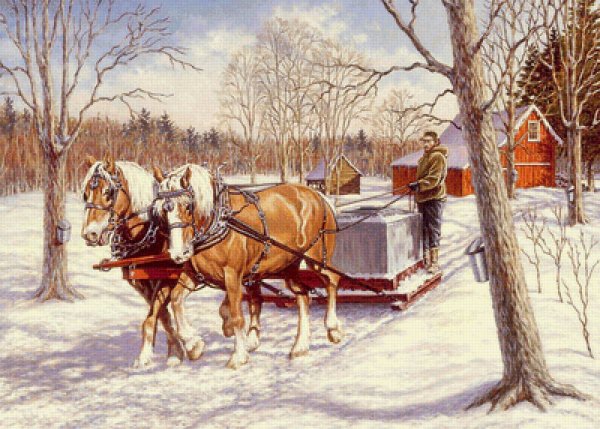 Richard de Wolfe художник