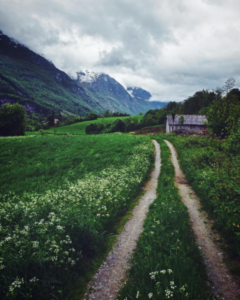 Сельская природа