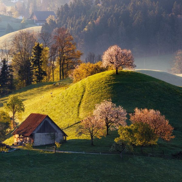 Martin rak фотограф