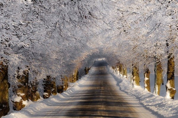 Зимний пейзаж в Грабовице, Сербия...