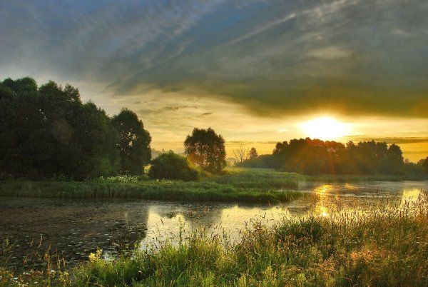 Летние утренние пейзажи