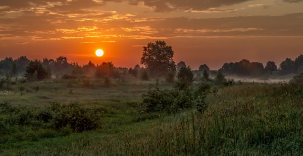 Июльский рассвет