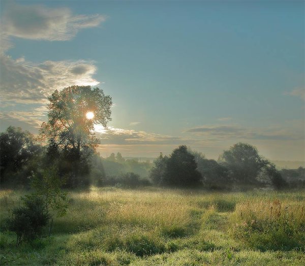 Июньское утро