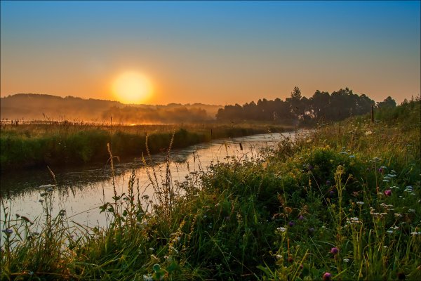 Июньский рассвет