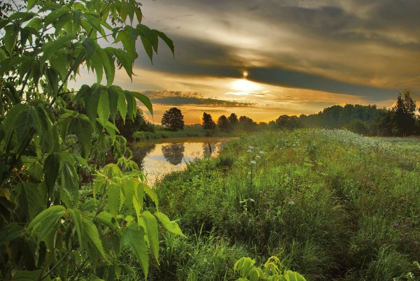 Июльское утро