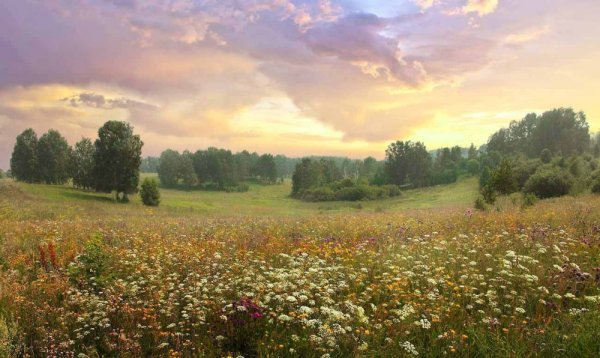 Русские поля Луга