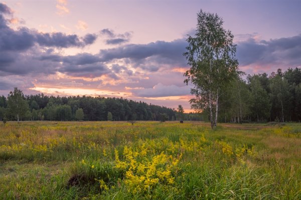 Луга Вологодской области