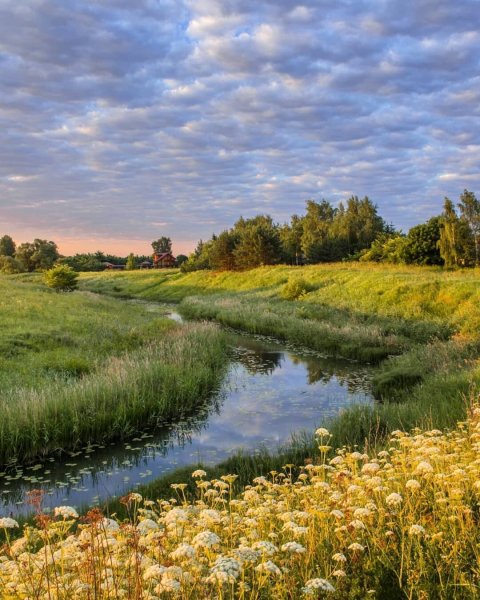 Природа Владимирской области