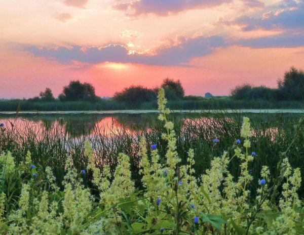Август пейзаж