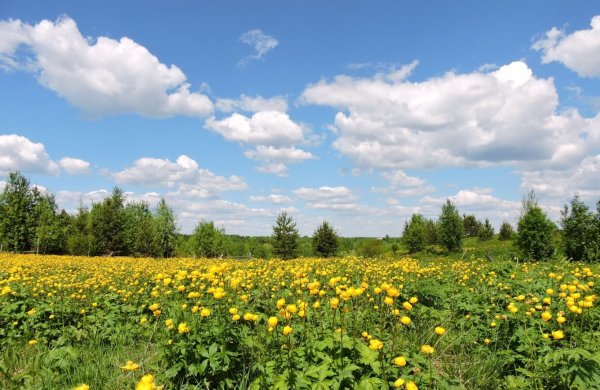 Климат лето