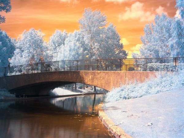 Зимний пейзаж с мостом