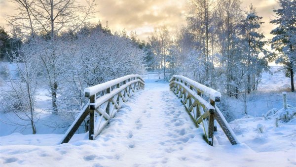 Заснеженный парк