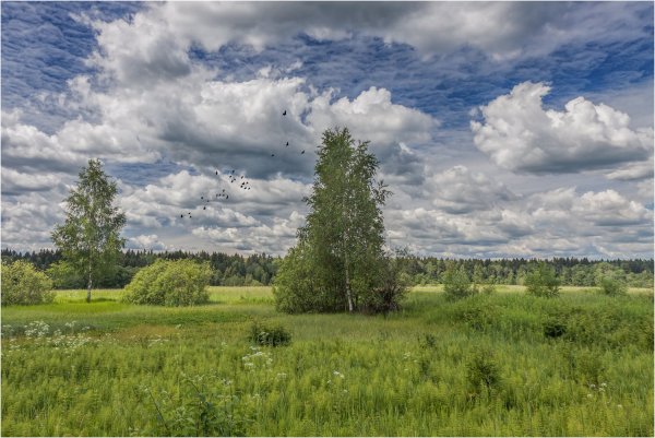 Смоленско Московская возвышенность