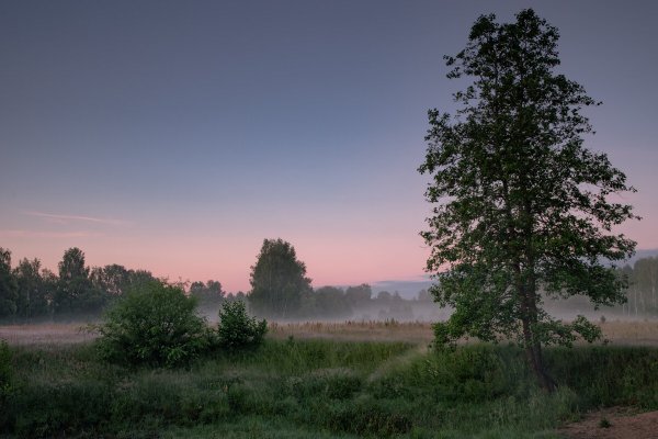 Пейзаж фото простой