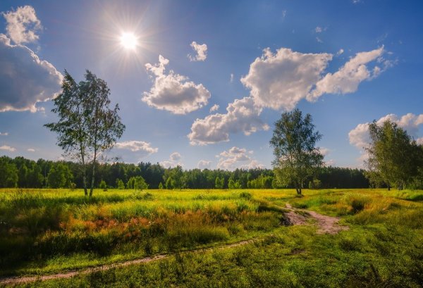 Июньский пейзаж
