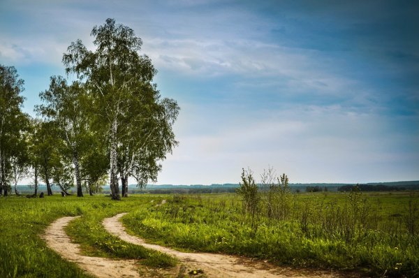 Родные просторы природа родного села