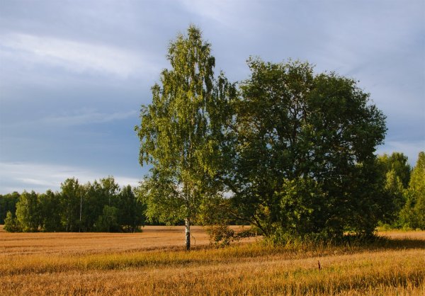 Реки Тверской области