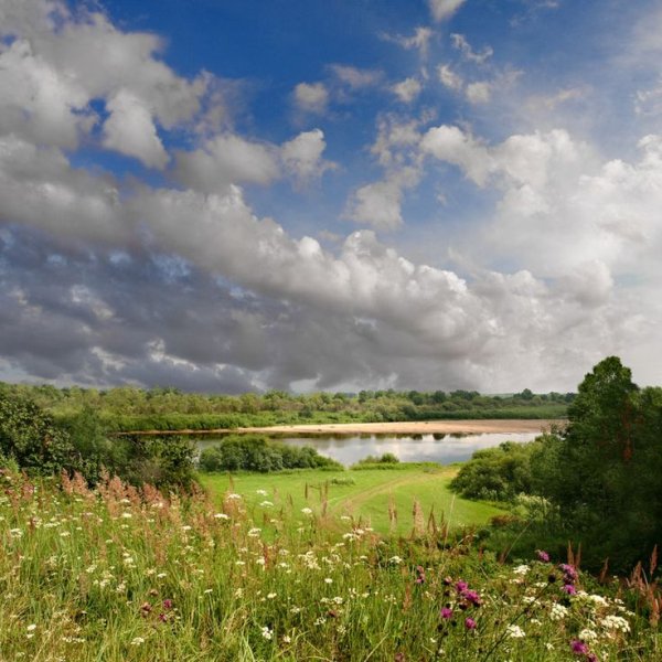 Природа деревня речка Березки