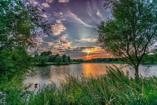 Колвицкий заказник