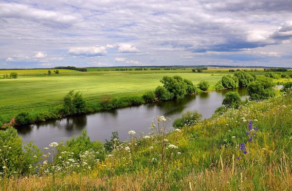 Лето в деревне