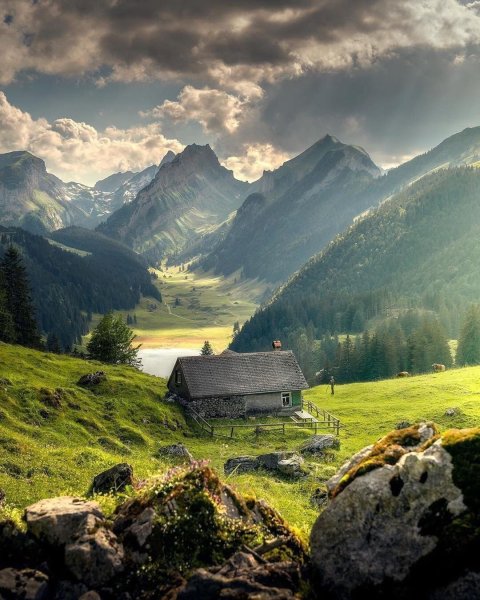 Альпийские Луга Швейцария