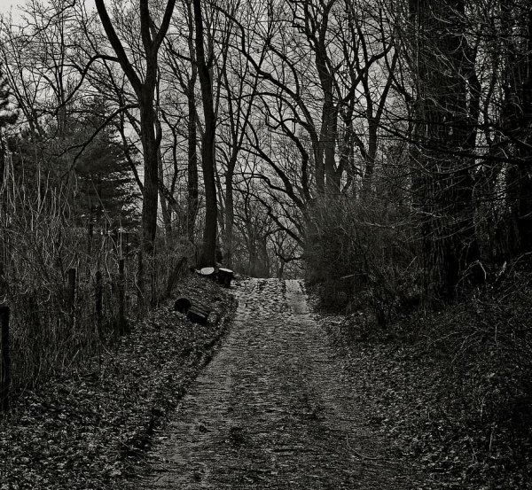 Страшный ландшафт