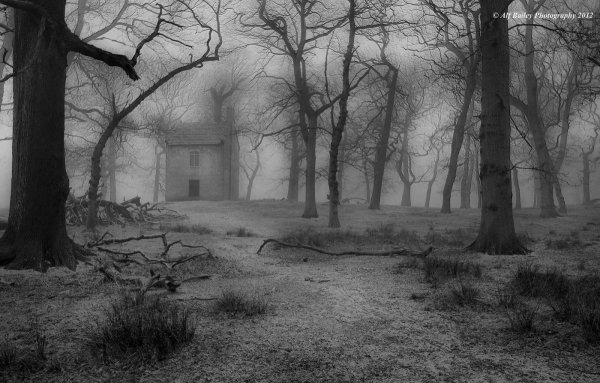 Пугающий пейзаж