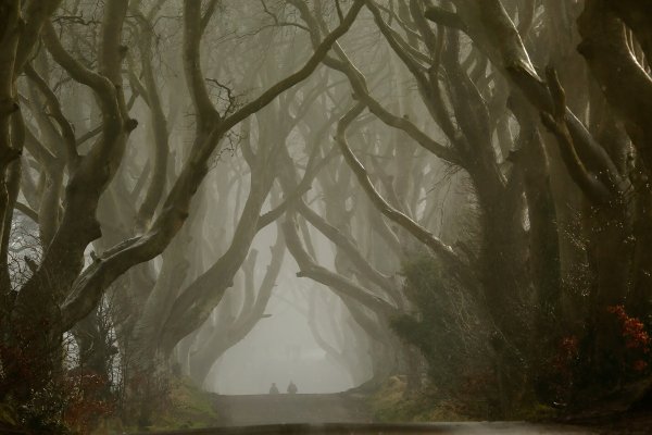 Мрачный пейзаж