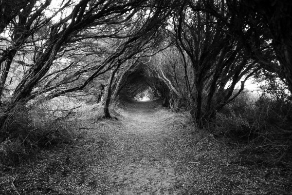 Страшная природа