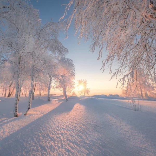 Зимнее утро