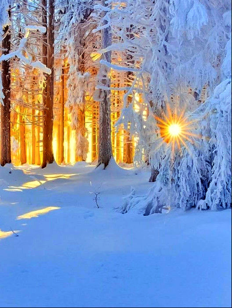 Мороз и солнце