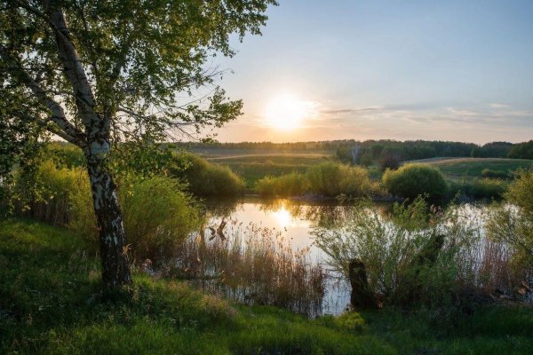 Природа мая