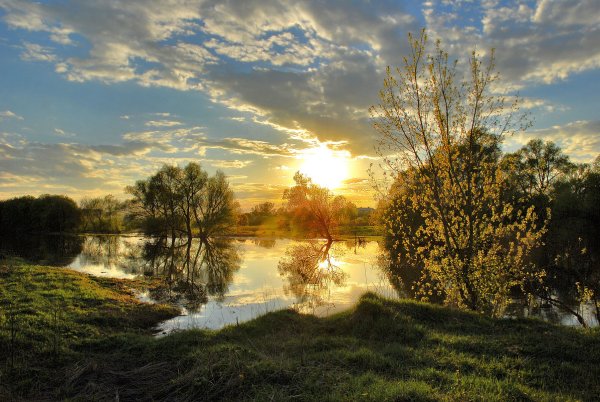 Пейзаж в мае