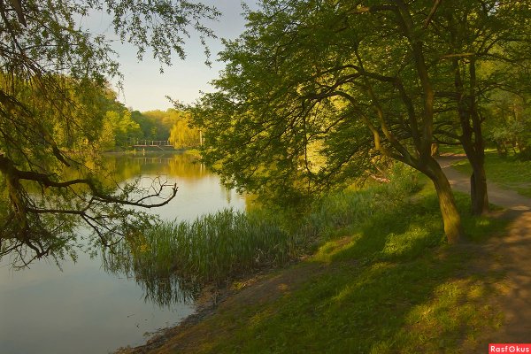 Майский лес река