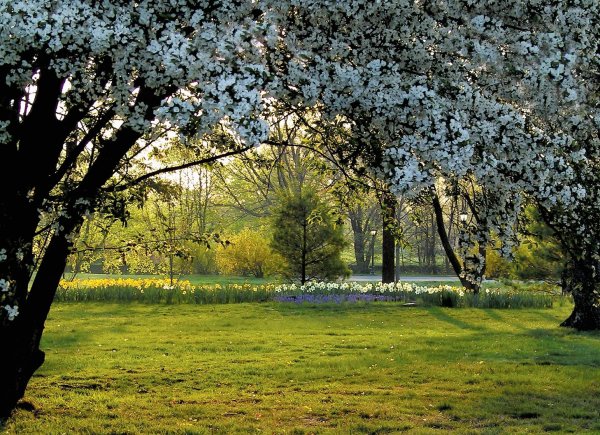 Поздняя Весна природа