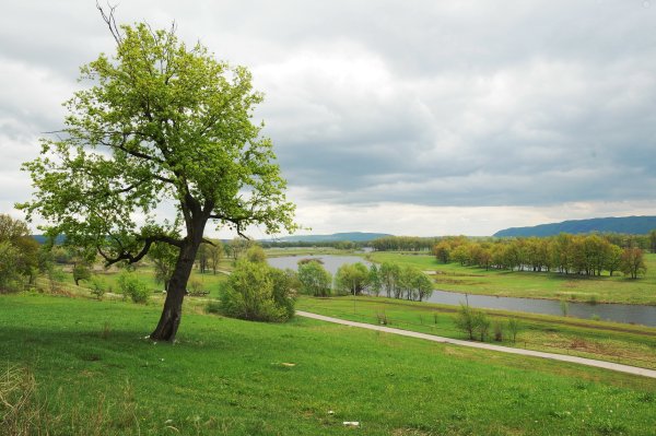 Конец мая природа