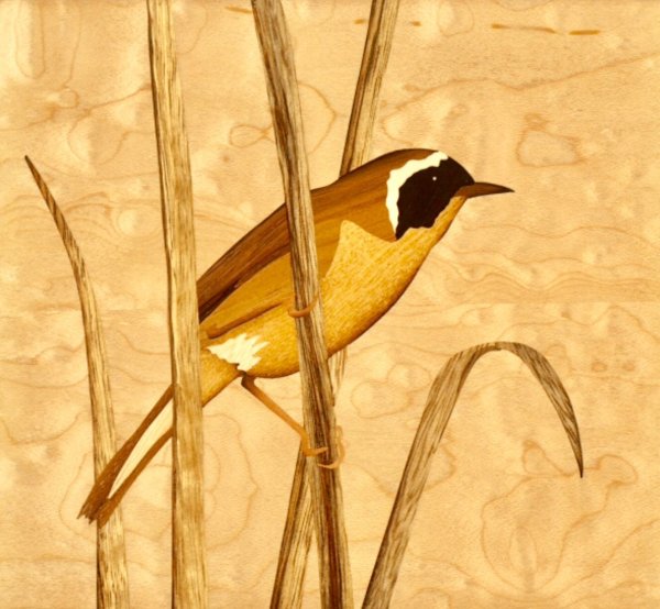 Маркетри природа