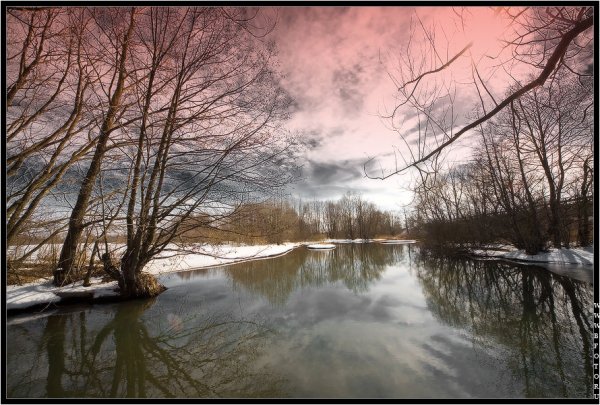 Пейзаж Пробуждение природы