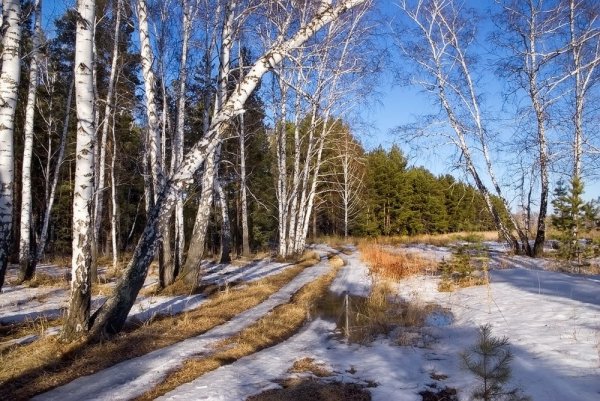 Ранняя Весна в Сибири