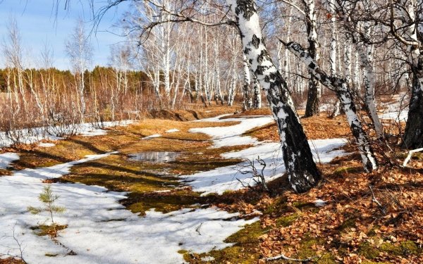 Природа весной