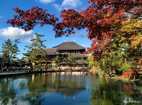 Река Мегуро Япония