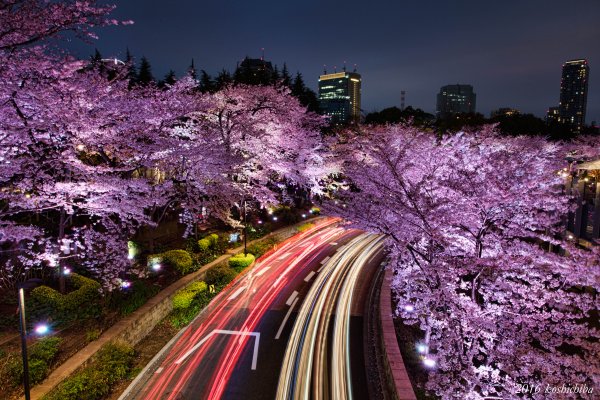 Улицы Киото 2019