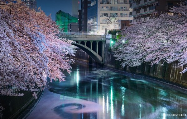 Храм Японии Фуджи.