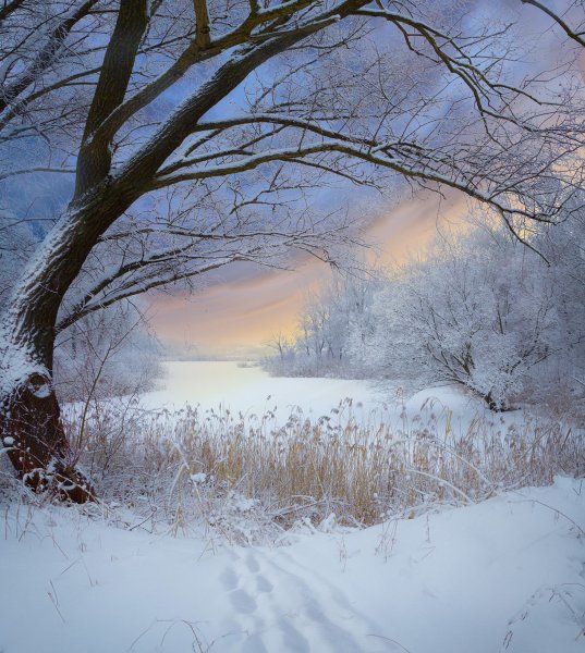 Метель природа