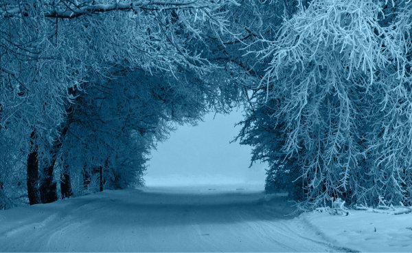 Зима метель