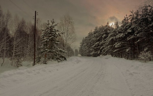 Зимняя дорога в деревне